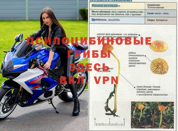 герыч Балабаново