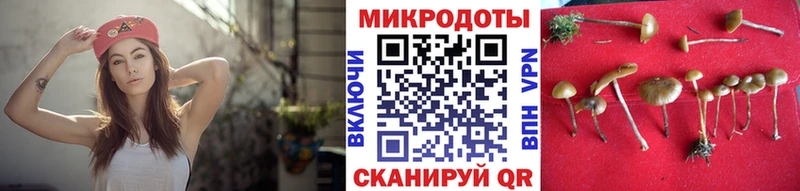 дарнет шоп  Верхняя Тура  Галлюциногенные грибы мухоморы 
